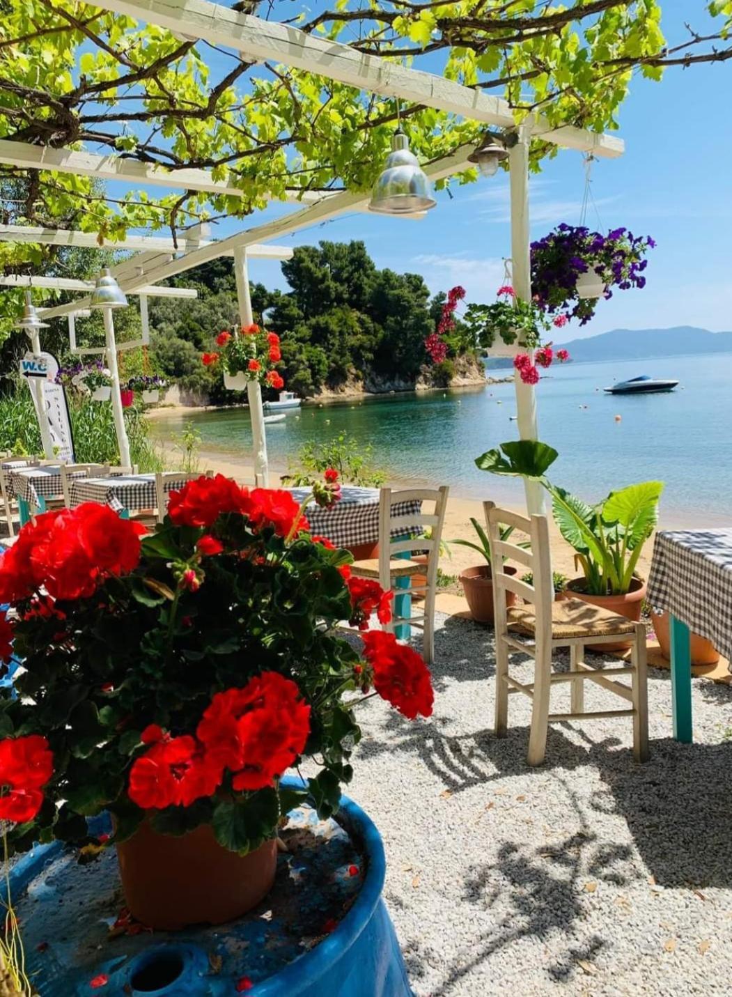 Angel Studio Lejlighed Skiathos by Eksteriør billede